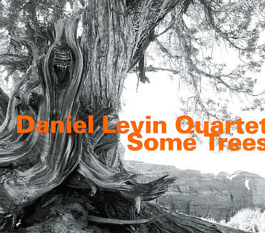 levin_daniel_some_trees