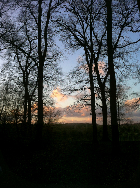 Einmal S/W