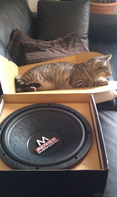 Audio System M12