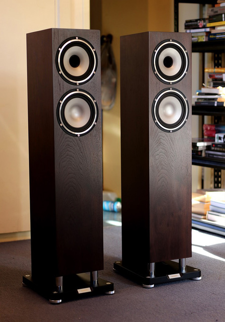 Tannoy XT 6F Walnut 1