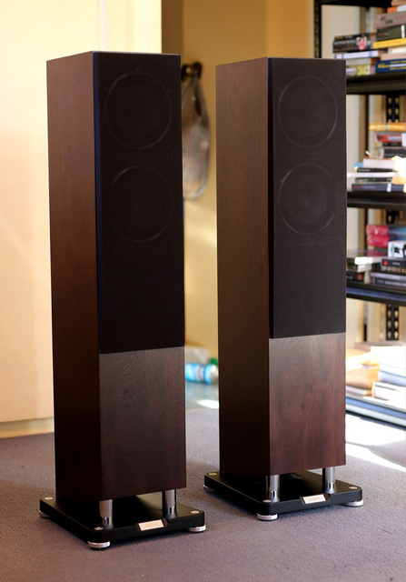 Tannoy XT 6F Walnut 2