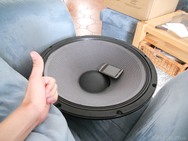 THE BOX SPEAKER 18-500/8-A 