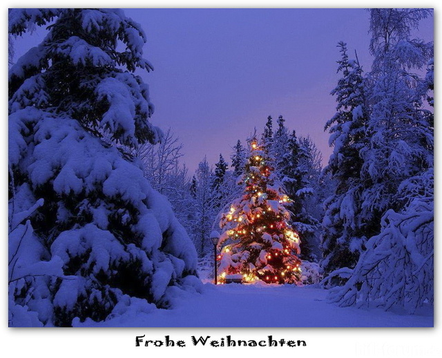 Frohe-Weihnachten-a19634397