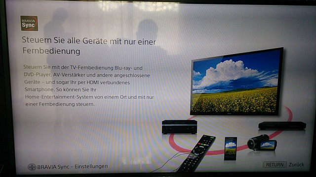 SONY Bravia Sync