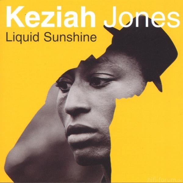 Keziah Jones   Liquid Sunshine