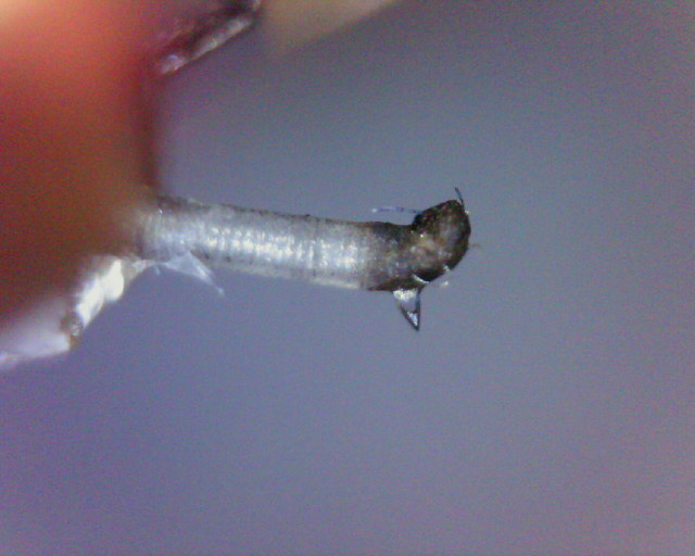 Dynavector Karat 17d2 MkII Seitensicht Eigen 02