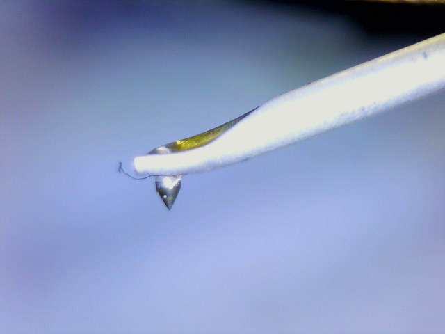 Philips Gp 412 II Seitensicht Eigen 06