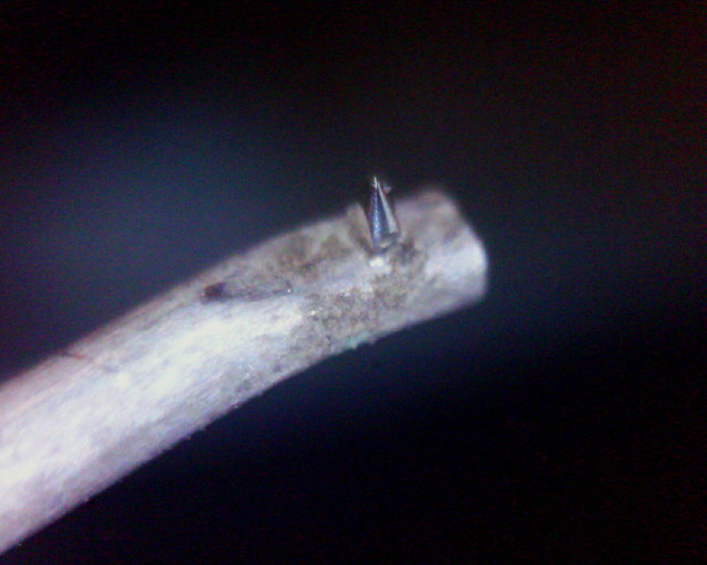 Signet Tkn1 Seitensicht Eigen 01