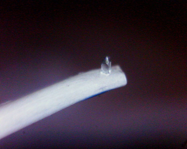 Signet Tkn3 Seitensicht Eigen 06