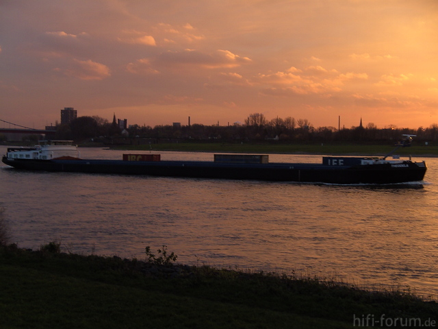 Am Rhein (14)