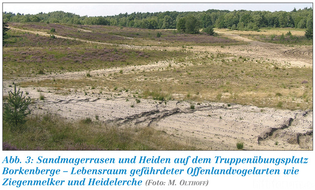 Borkenberge