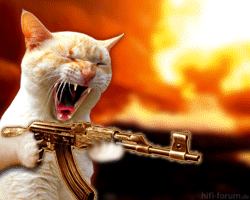 killercat1js