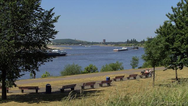 Rhein10