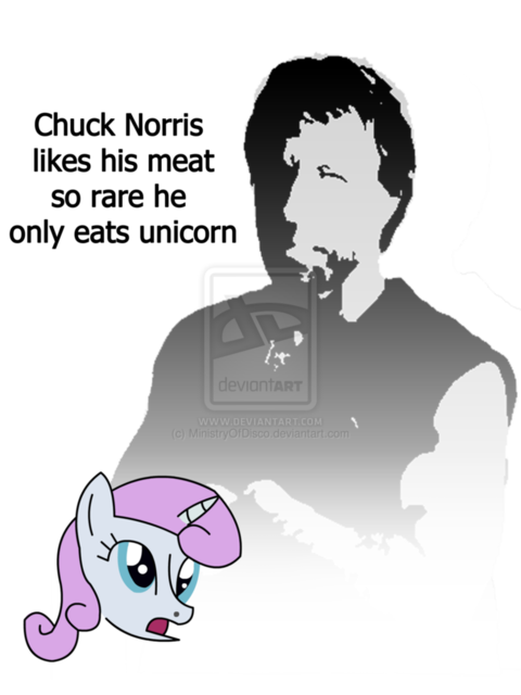 My Little Pony Friendship Is Magic   Chuck Norris By Ministryofdisco D4rap5t