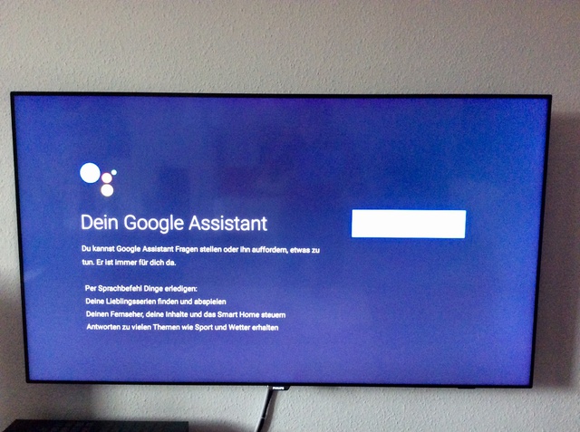 Philips 8601 Google Assistant