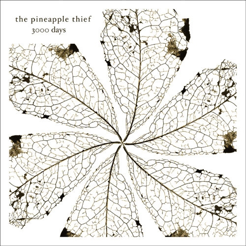 _The Pineapple Thief - 3000 Days