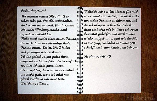 Tagebuch1