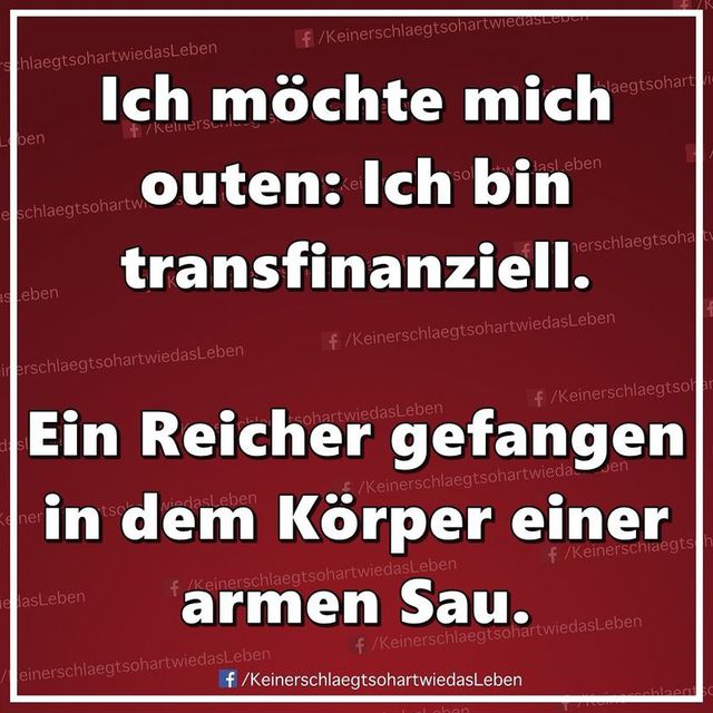 186486298 2651419651826723 3562489394289346408 N