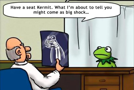 drkermit