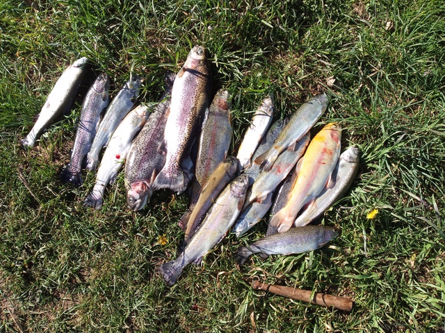 IMG 20210426 171601 802