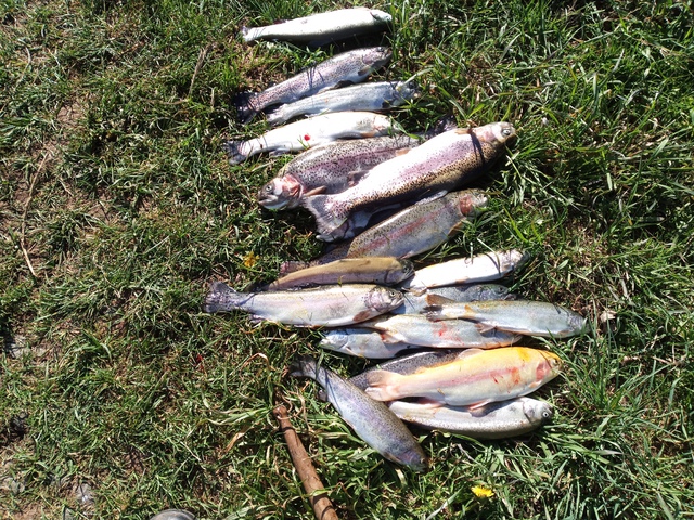 IMG 20210426 171605 896