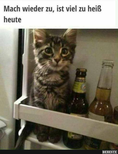 37685794 2137782383171229 2058756757605318656 N