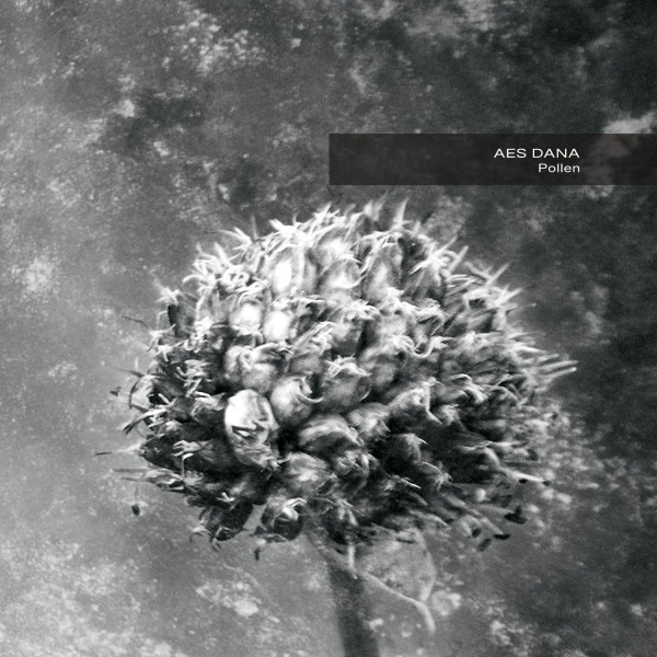 inre055-AES-DANA-Pollen-Reissue-Artwork-1500px-72dpi-600x600