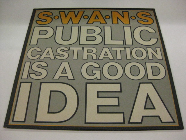 swans