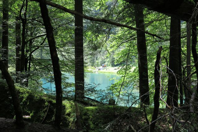 blausee