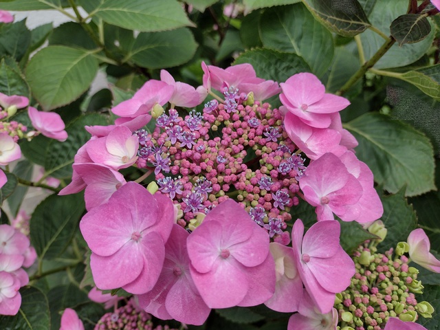 IMG 20240620 114842214 HDR