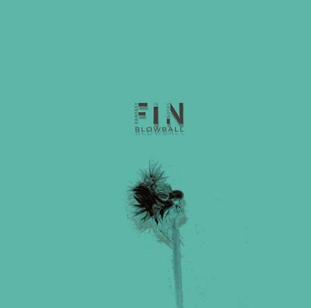 F.I.N