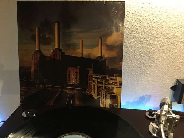  Pink Floyd ?– Animals