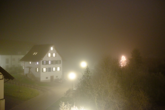 DSCF3343