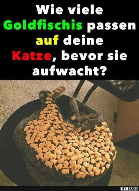 Weltkatzentag