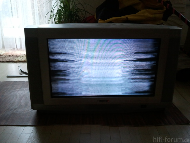 Fernseher