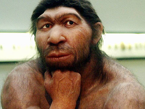 Neandertaler