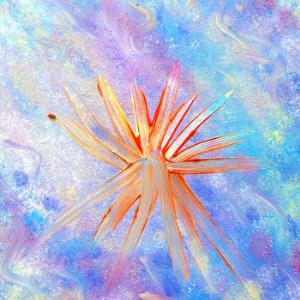 Cover 4022131832015 R