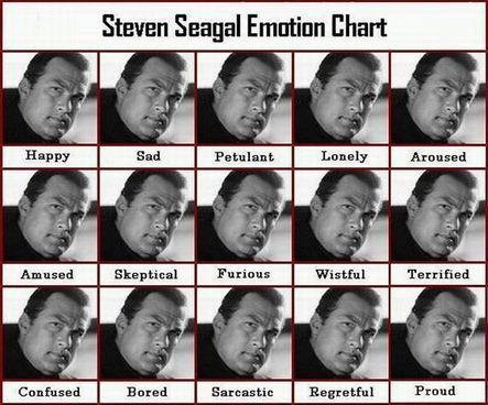 Resize of Steven-Seagal-Emotion-Chart