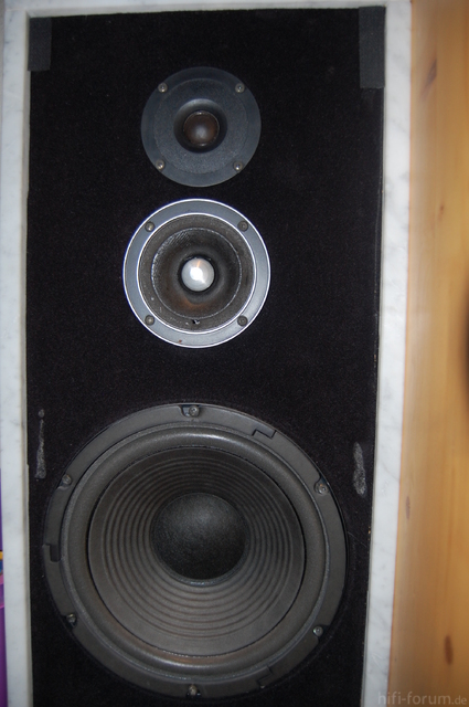 Speaker Zoomed