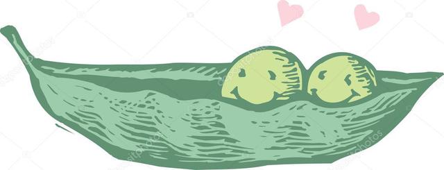 Depositphotos 30501687 Stock Illustration Two Peas In A Pod