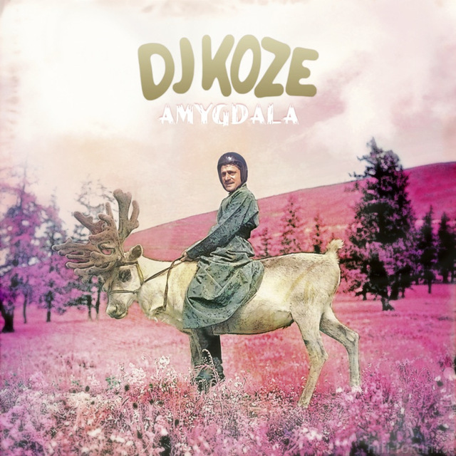 DJKOZE Amygdala Cover Gross