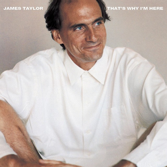 James Taylor - That\'s Why I\'m Here Front