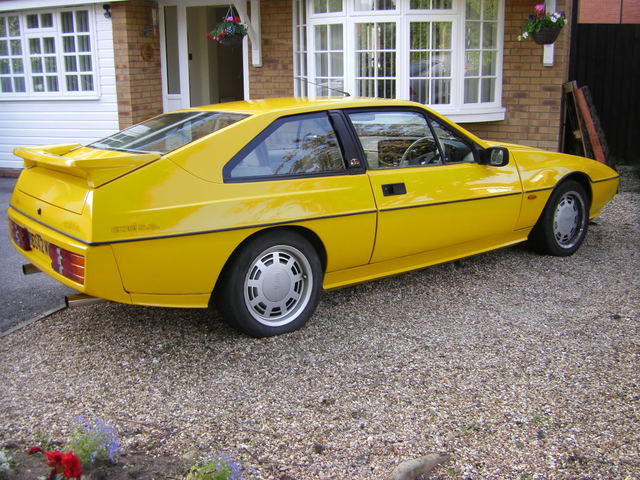 LotusEXCEL2