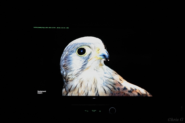 Comp IMG 2015 11 01 017681