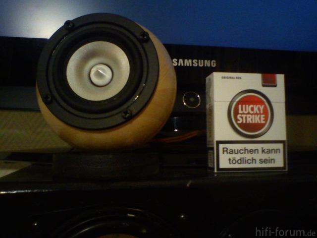 Rear Speaker