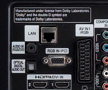 Panel Back