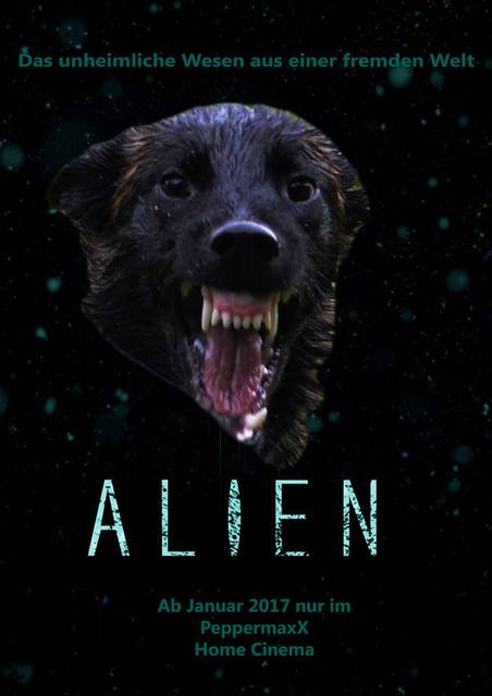 Alien im PeppermaxX Heimkino