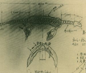 Plesiosaurus2