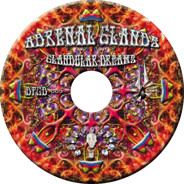 00 - Adrenal Glands - Image 4 (CD)