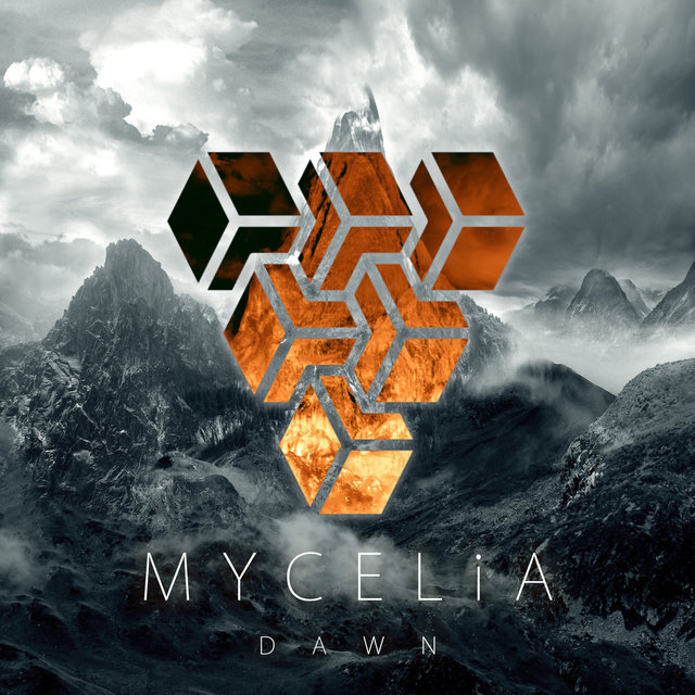 Mycelia   Dawn (01) (Bandcamp) A3110897954 10